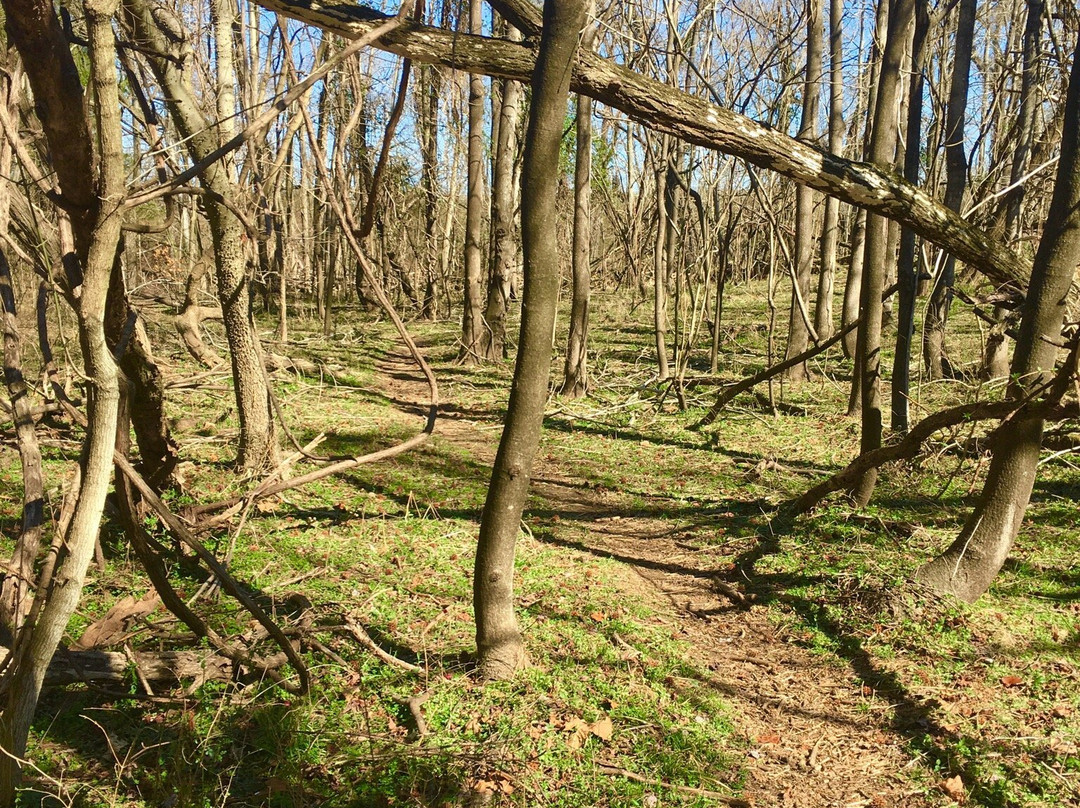 Dutch Gap Conservation Area-Chester必去景点