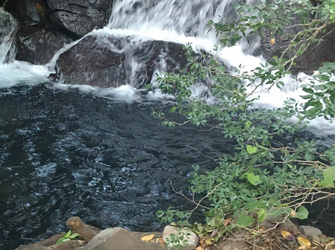 Paraiso natural de aguas termales kauar tikuri景点图片