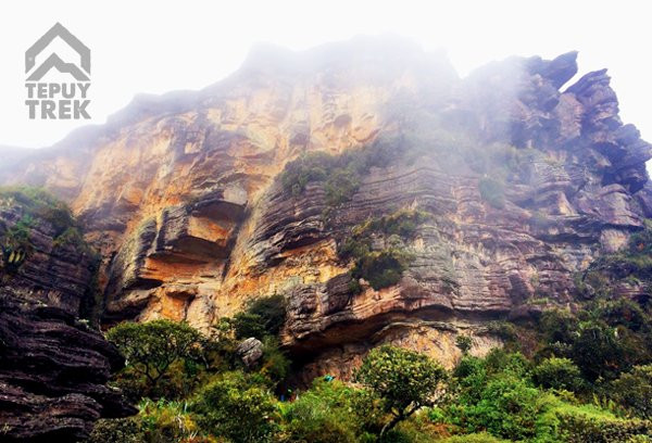 Tepuy Trek景点图片
