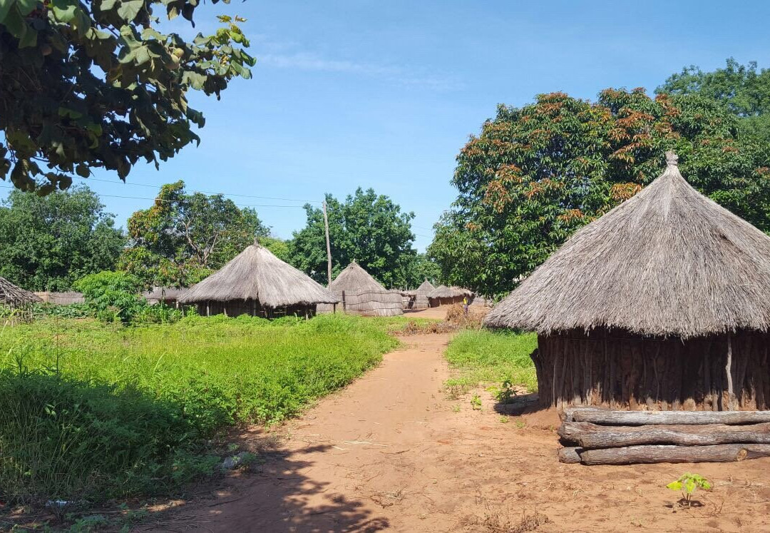 Mukuni Village景点图片