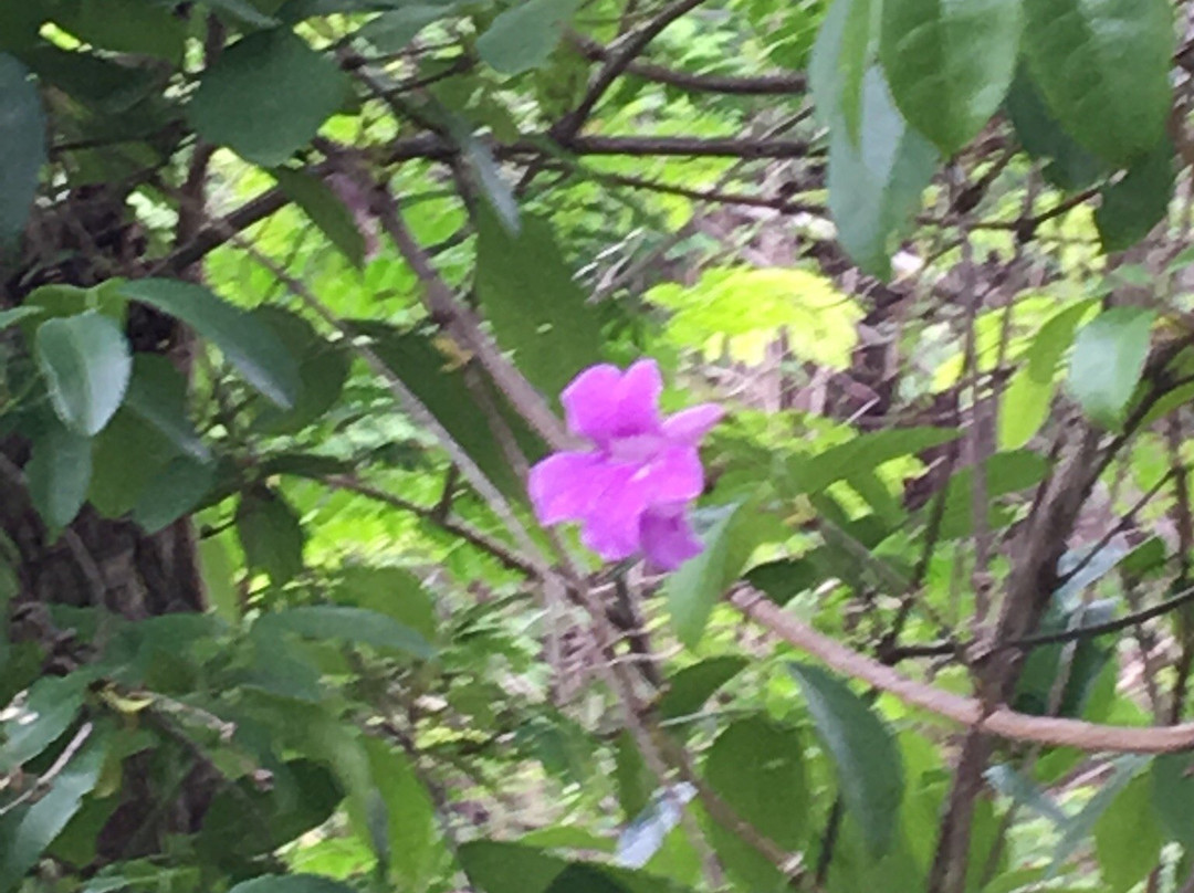 Araripe Plateau-Crato必去景点