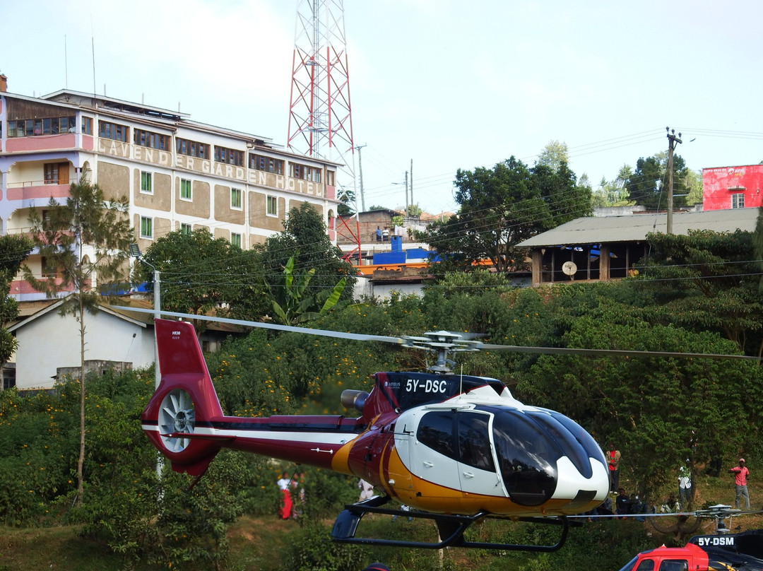 Lavender Garden Hotel主图