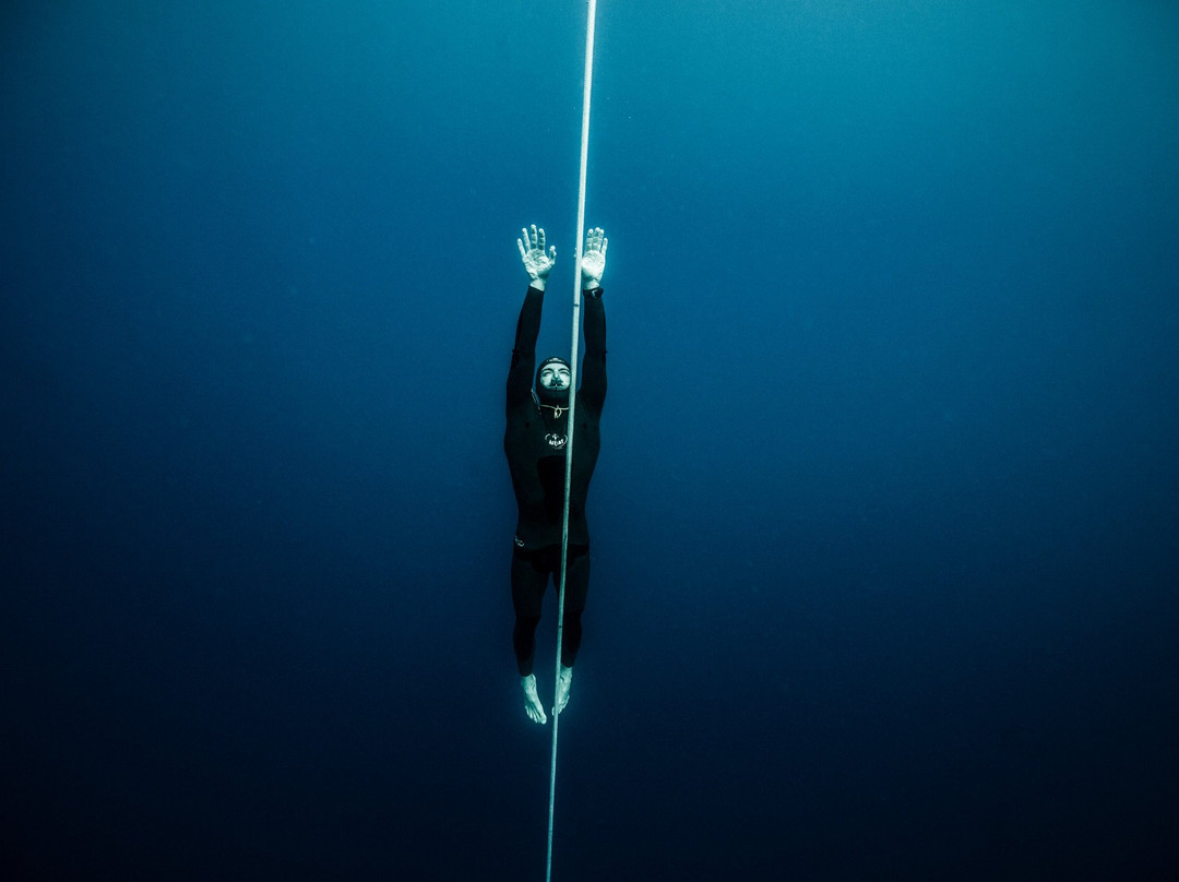 Jeff's Water Sports & Healing-Scotts Head必去景点