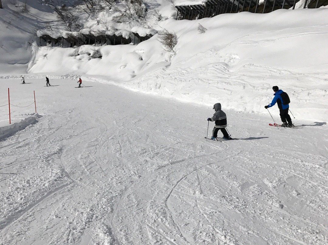 Naspa Ski Garden景点图片