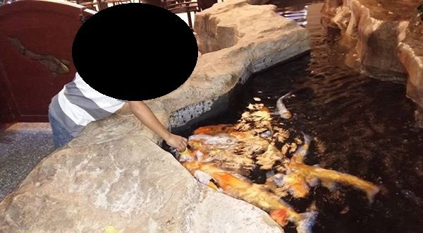 Aquamundo Sambil Santo Domingo-圣多明哥必去景点