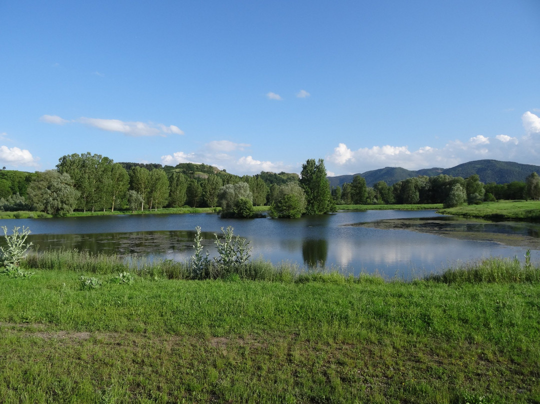 Les Etangs du Bord de Loire景点图片