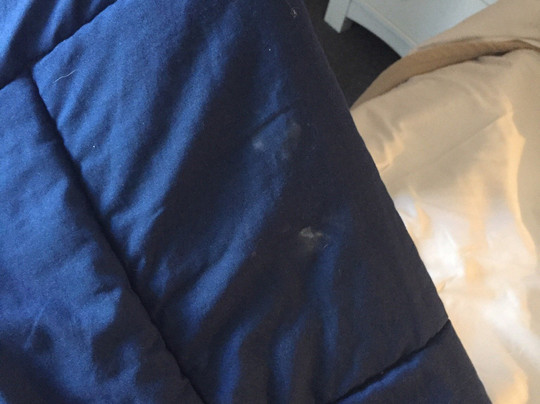 Benson Court Motel主图