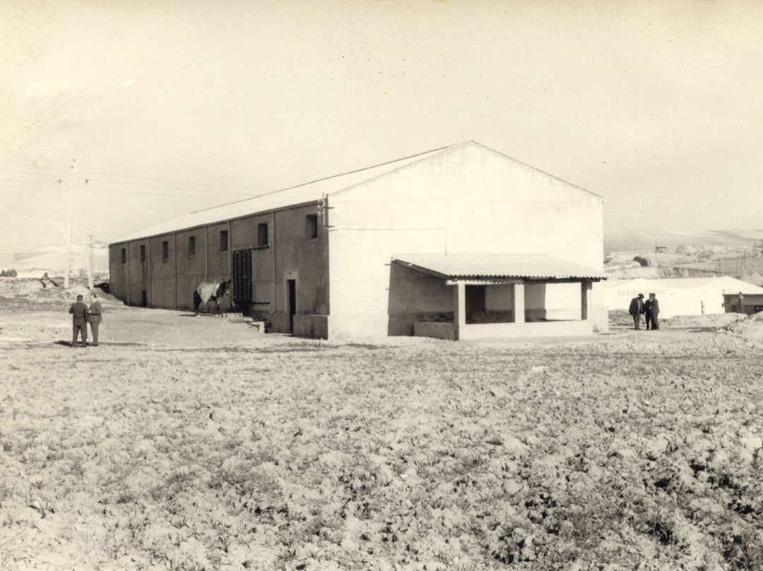 S.C.A. de la vid Santa Gertrudis景点图片