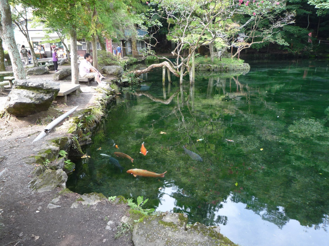 佐野市旅游攻略图片