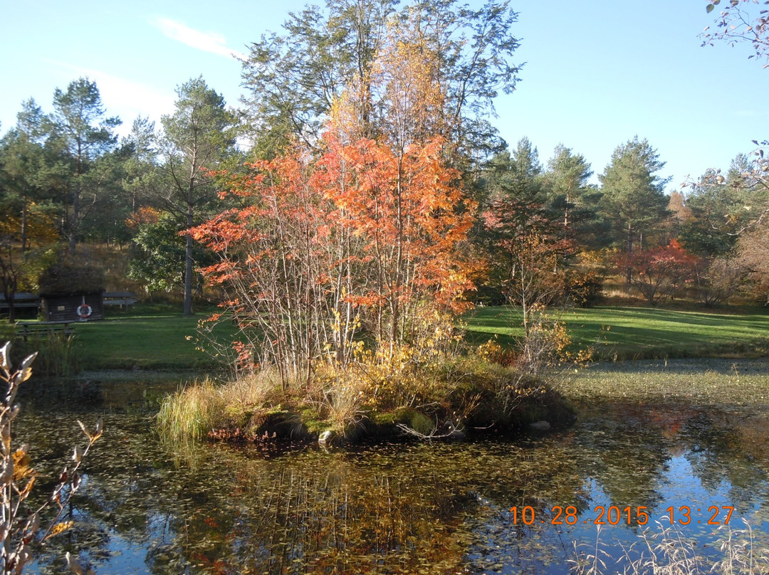 Rogaland Arboretum景点图片