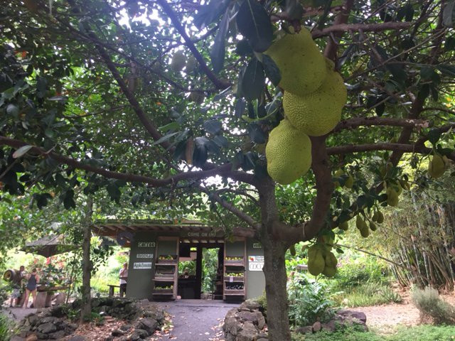 Laulima Farm-Kipahulu必去景点
