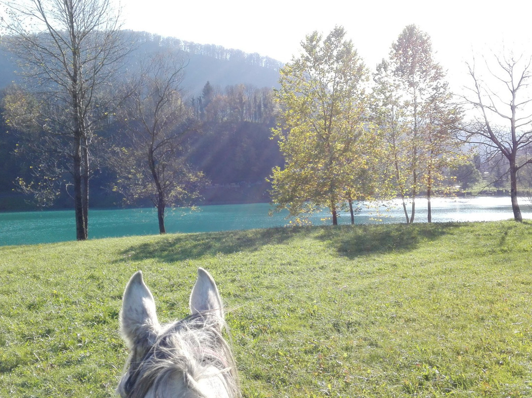 Horse Riding Club Ranch Pelance景点图片