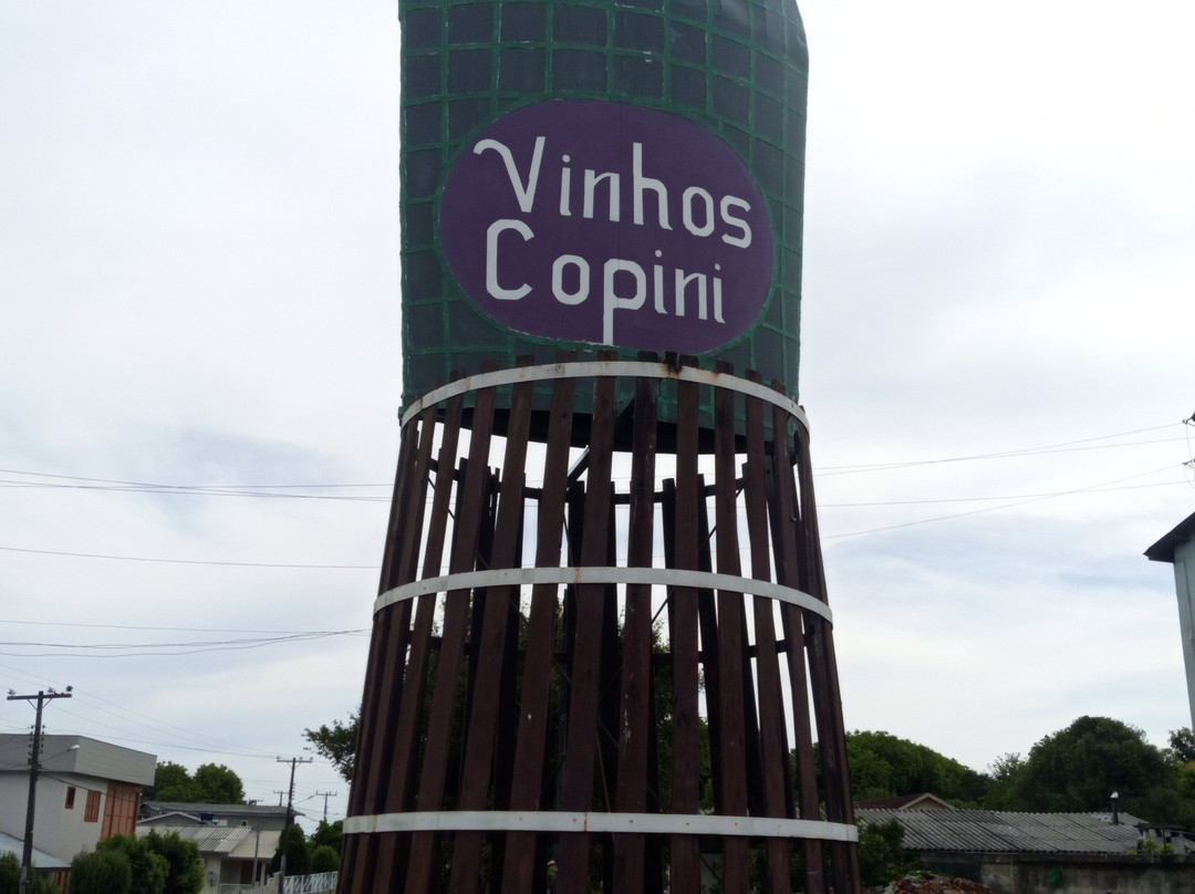 Vinhos Copini景点图片