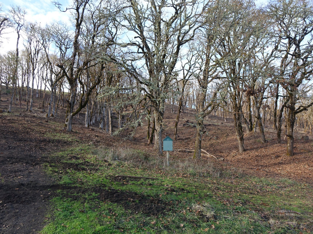 Chip Ross Natural Area-科瓦利斯必去景点