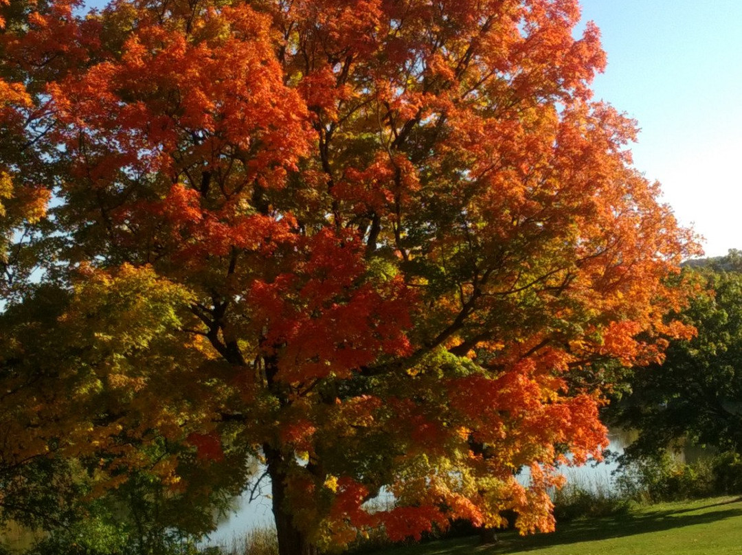 Institute Park-伍斯特必去景点