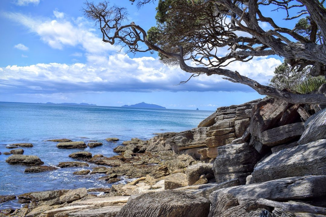 Waipu Coastal Trail-璜加雷必去景点