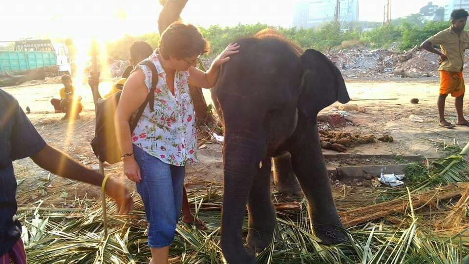 SriLanka Hot Sun - Day Tours景点图片