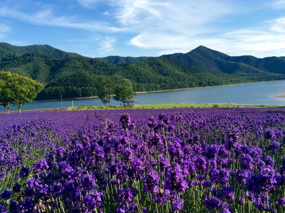 Lake Kanayama Forest Park-南富良野町必去景点