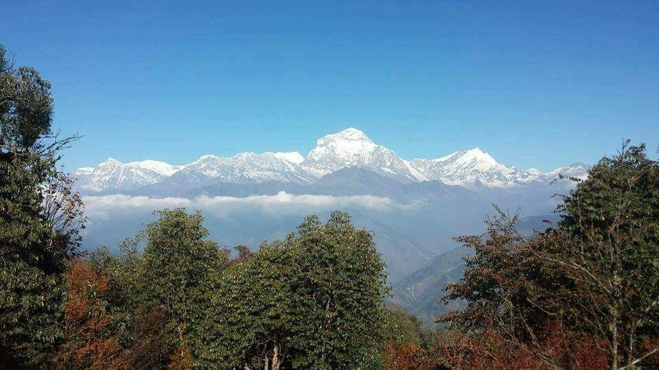 Emerging Nepal Trek - Kathmandu Day Tour-加德满都必去景点