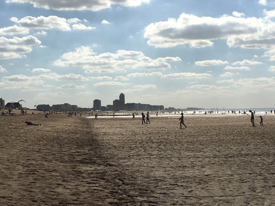 Plage d'Ostende景点图片