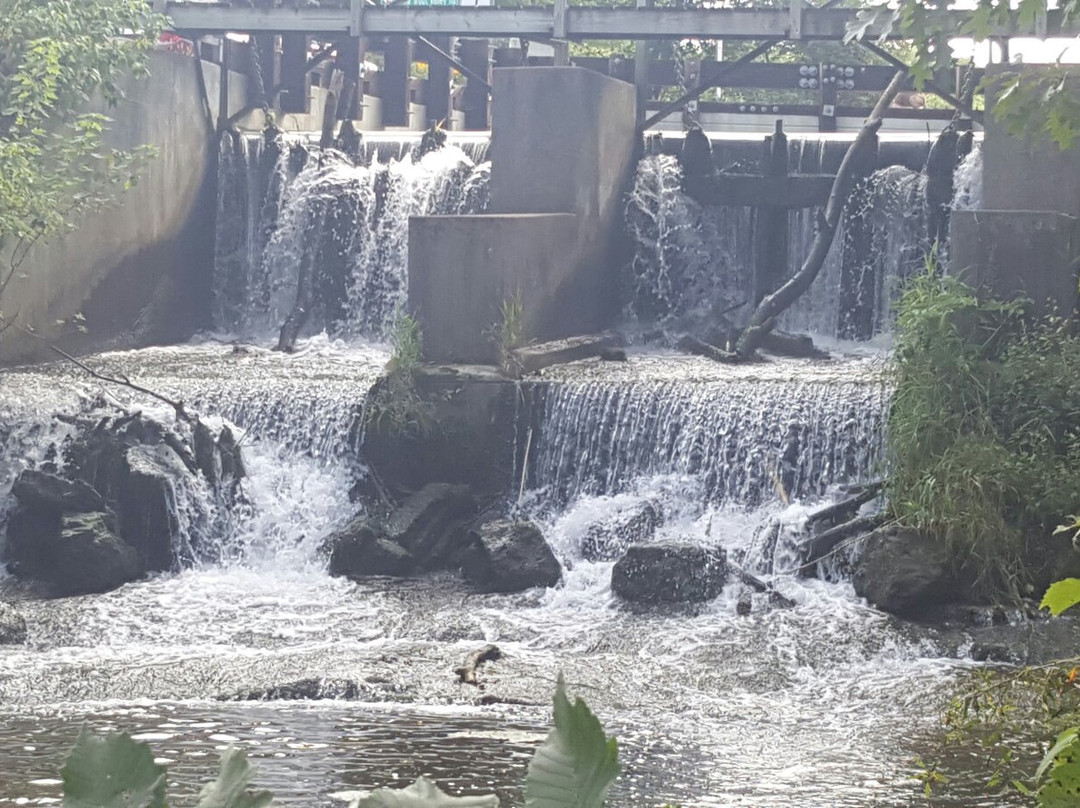 Pickwick Mill-威诺纳必去景点