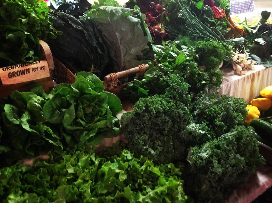 Soo Market-苏圣玛丽必去景点