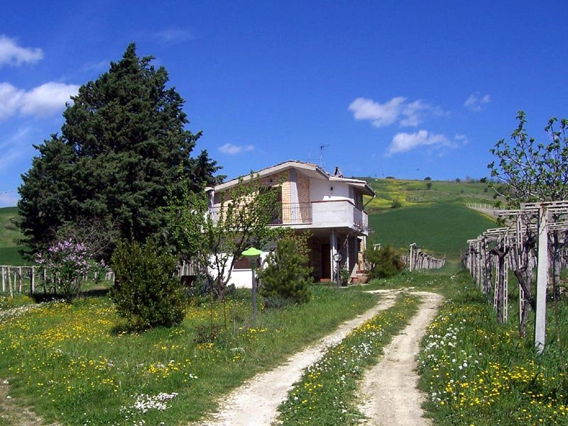 La Spiganarda poderi lupone