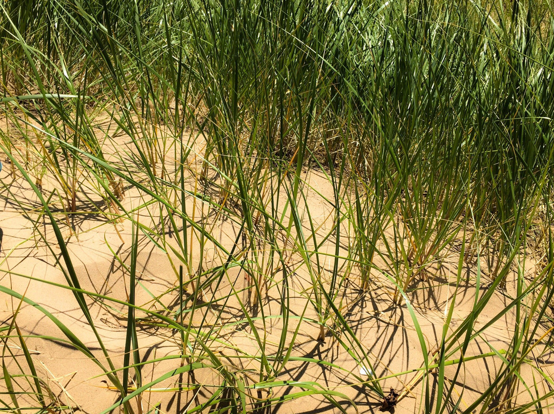 Laketown Beach-荷兰村必去景点
