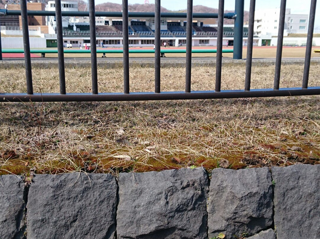 Irie Sports Park-室兰市必去景点