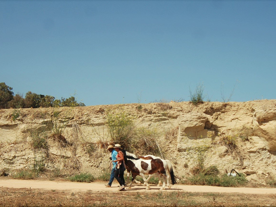 Dreams of Horses Farm-Xaghra必去景点