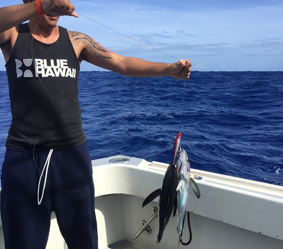 Hawaii Deep Sea Fishing-火奴鲁鲁必去景点