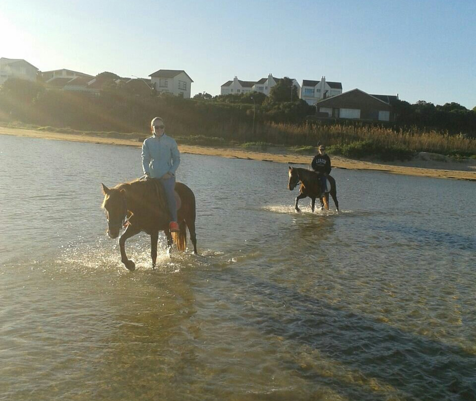 Mild2Wild Adventures-杰佛瑞湾必去景点