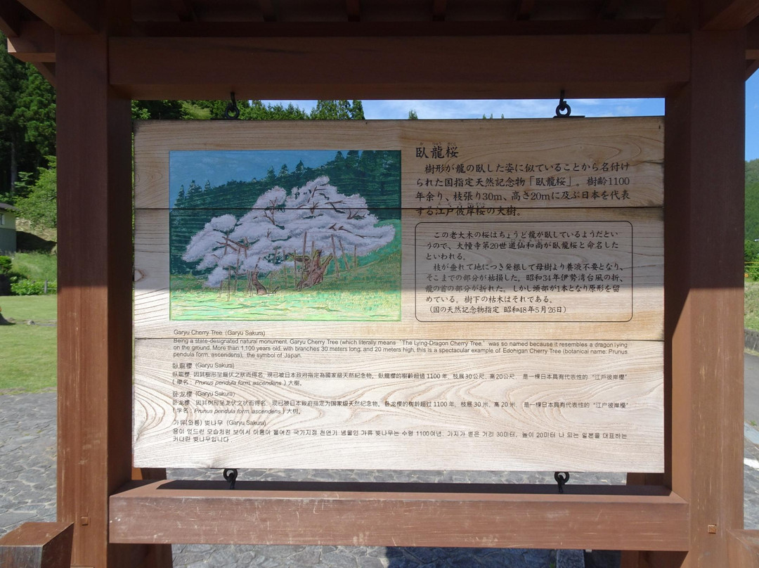 Garyu Park (Garyu Sakura)-高山市必去景点
