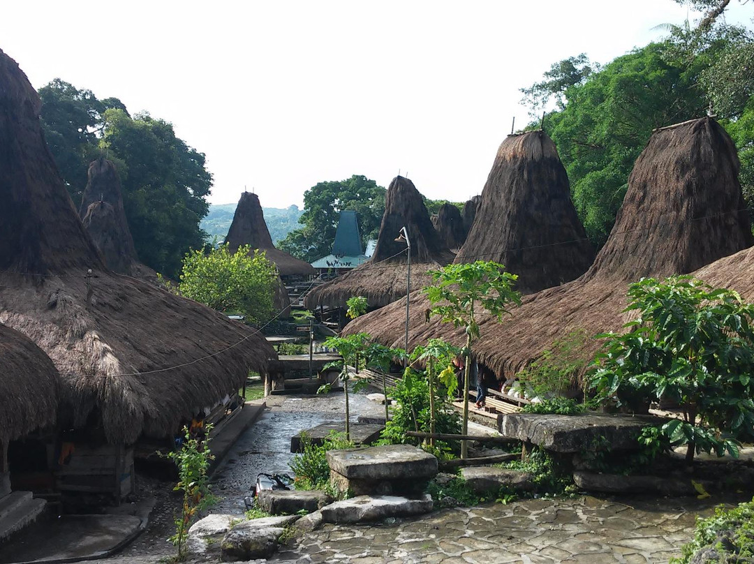 Tarung Cultural Villag景点图片