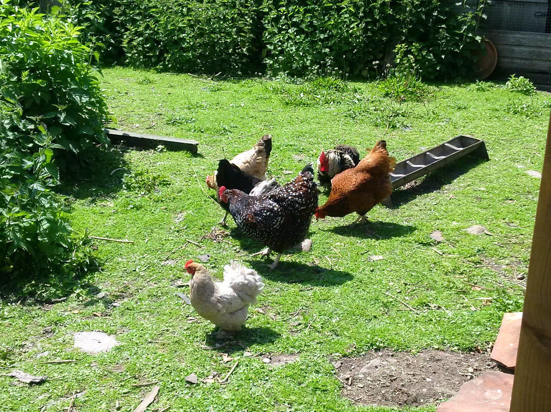 Kingston Seymour旅游景点-Clevedon Craft Centre