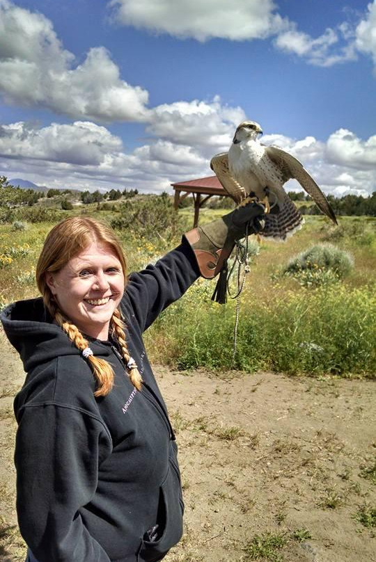 Raptor Adventures-里诺必去景点