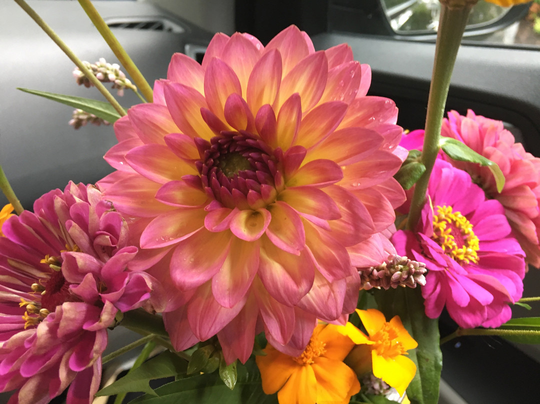 Creekside Gardens-Tunkhannock必去景点