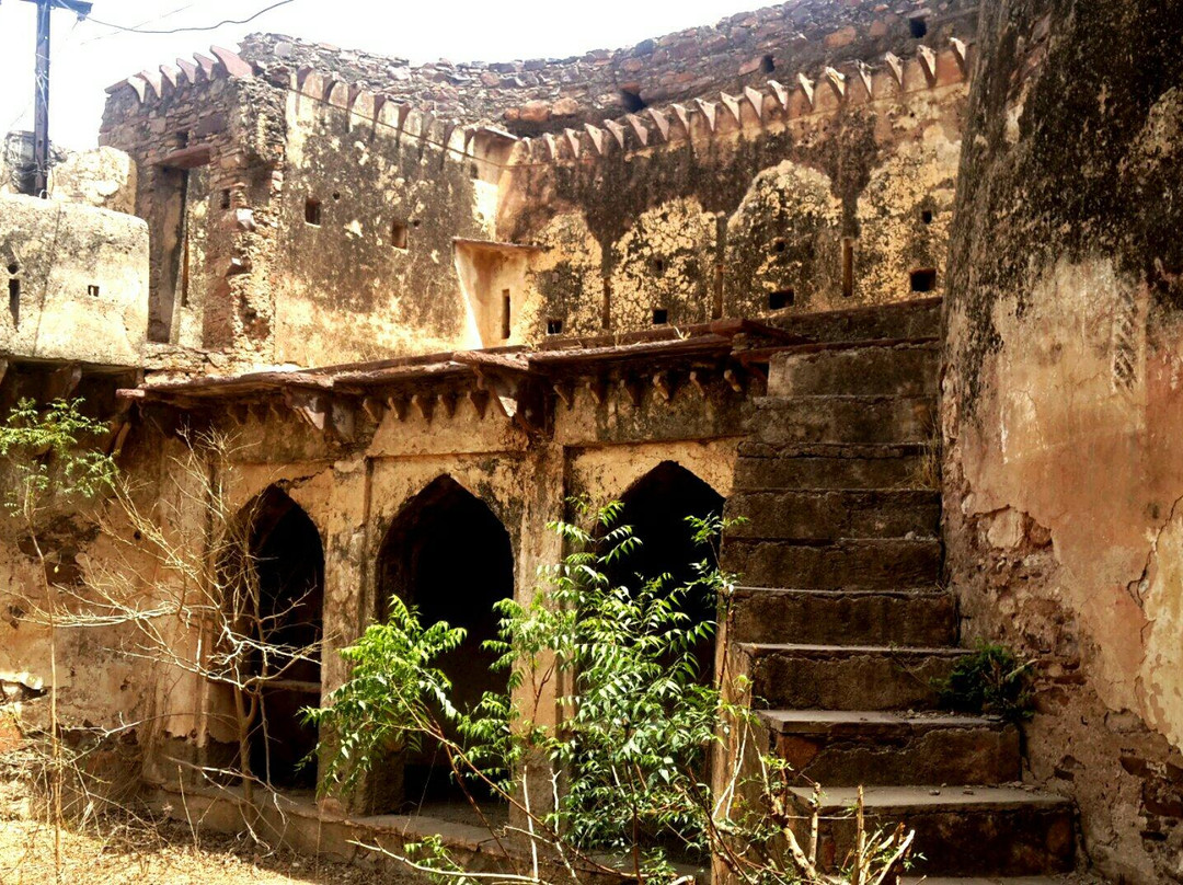 Indragarh Fort景点图片
