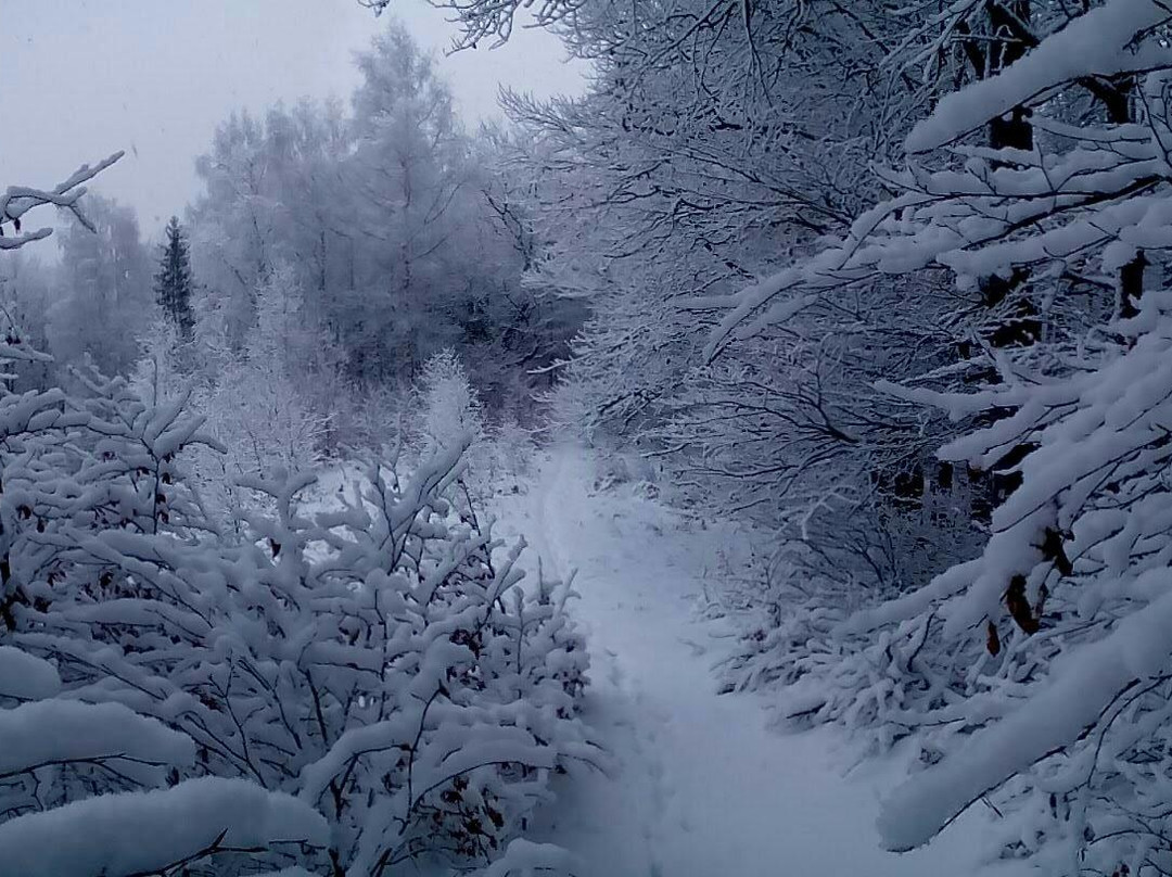 National Park Gutsulshhina-Kosiv必去景点