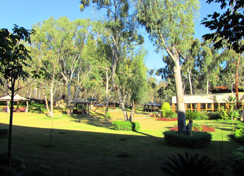 Rixos Al Nasr-酒店景观