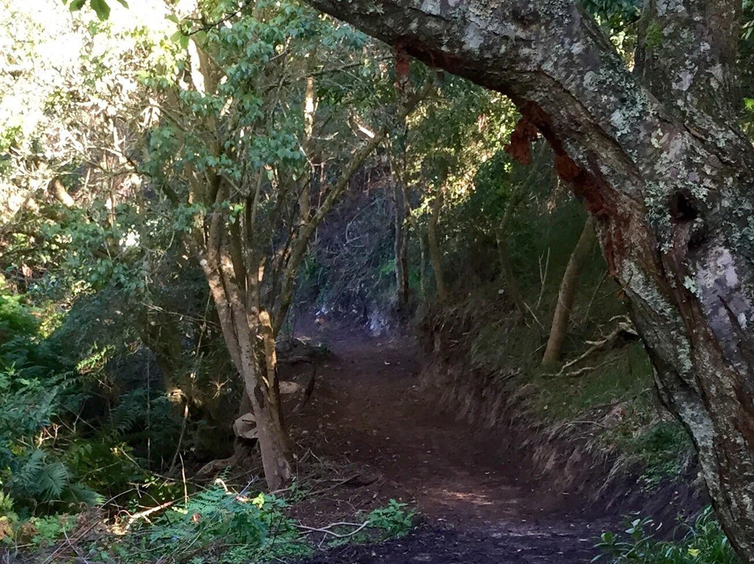 Rusoord旅游景点-Garden Route Trail Park