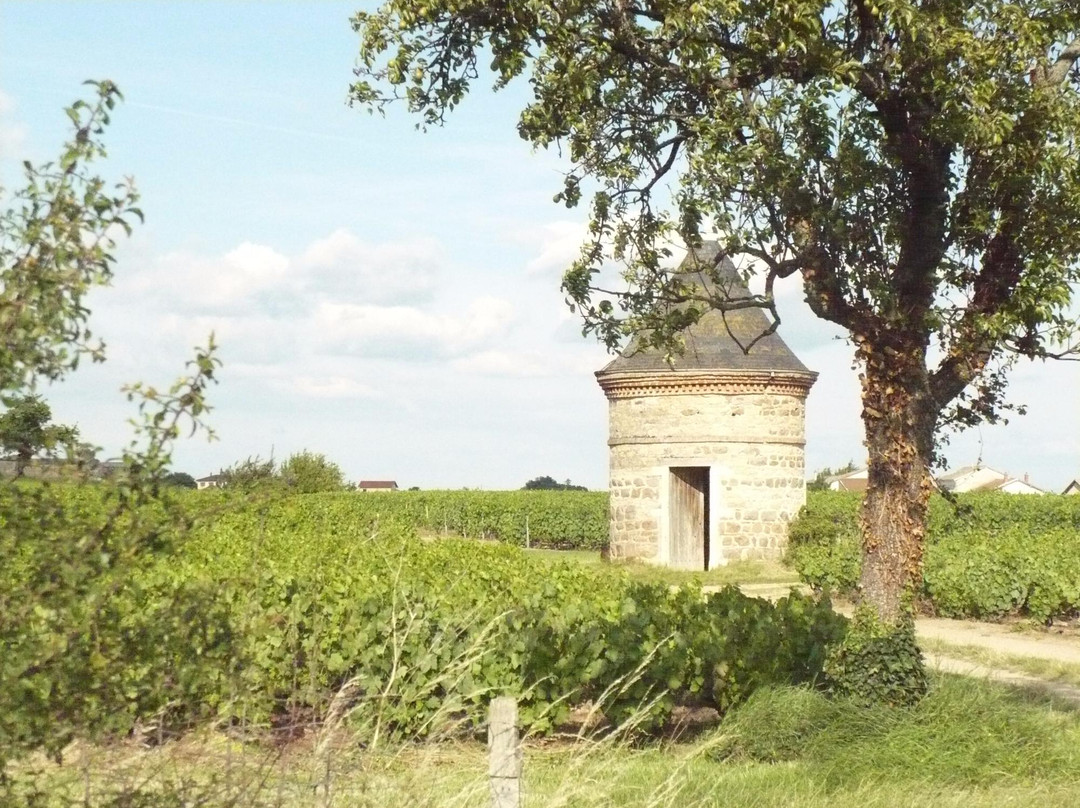 Quincie-en-Beaujolais旅游攻略图片