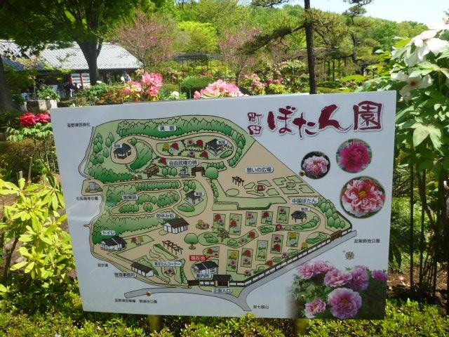 Machida City Minken no Mori Park-町田市必去景点