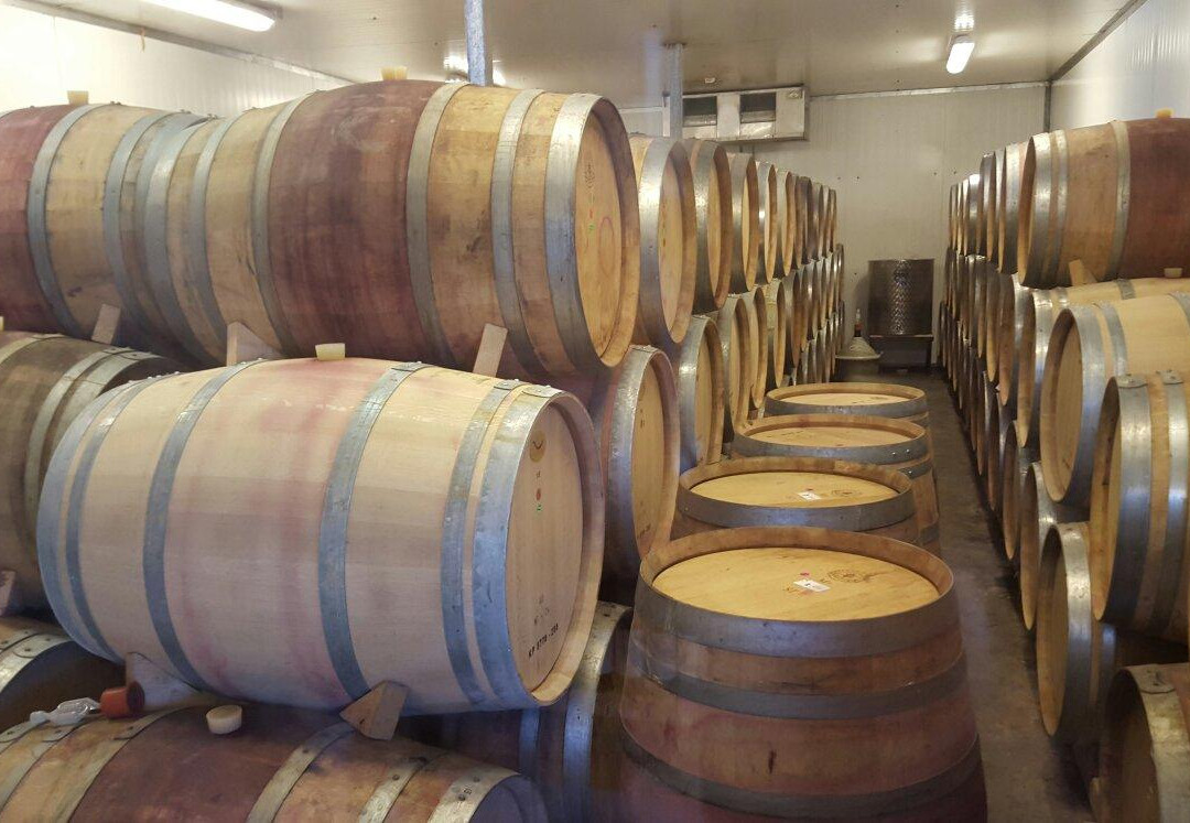 Tzuba Winery-耶路撒冷必去景点