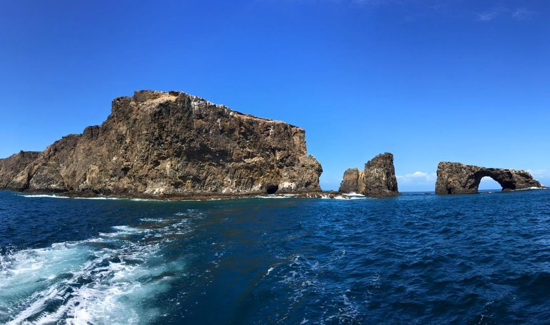 Whale Watching At H&m Landing-奥克斯纳德必去景点