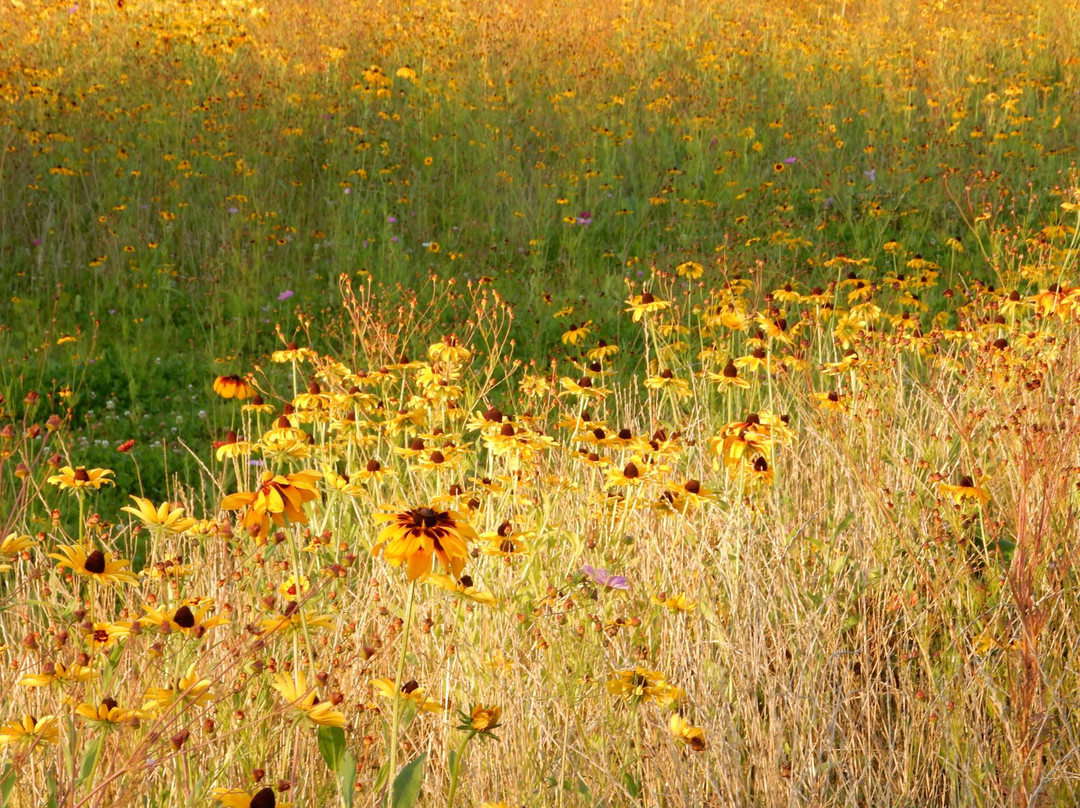 Hampshire College-艾姆赫斯特必去景点