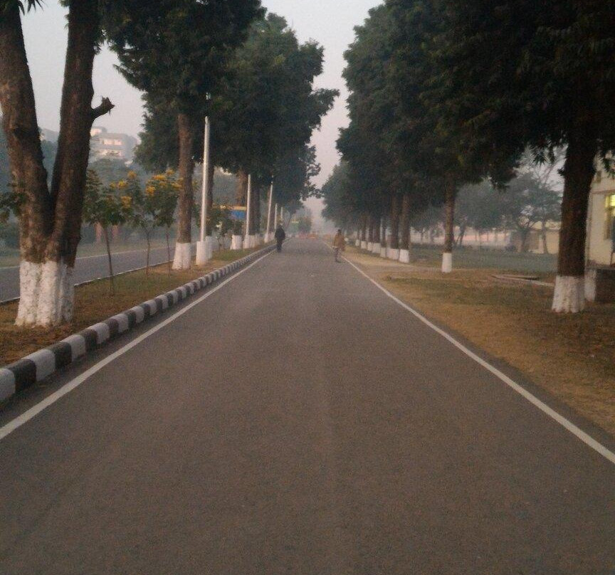 Thapar University景点图片