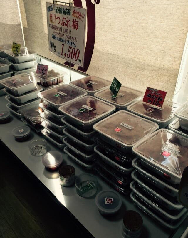 Kishu Umeboshi-kan-南部町必去景点