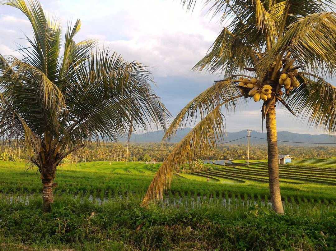 Soka Beach-达巴南必去景点