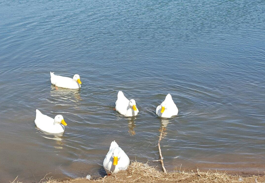 Serenity Valley Winery-Fulton必去景点